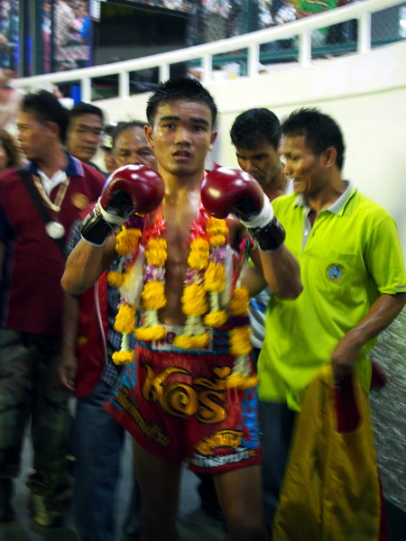 muay thai boxing