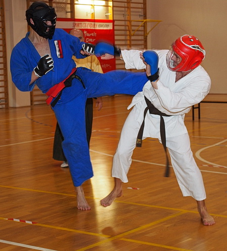 walka wręcz mma jiu-jitsu